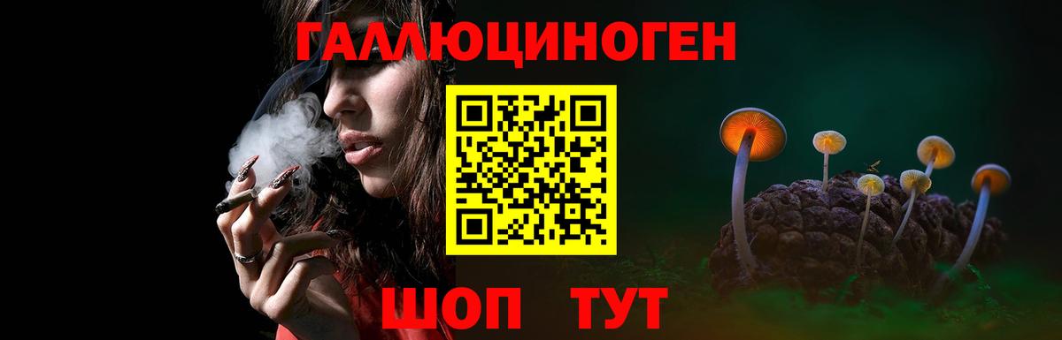 Галлюциногенные грибы ЛСД  Вход с VPN  Александров 